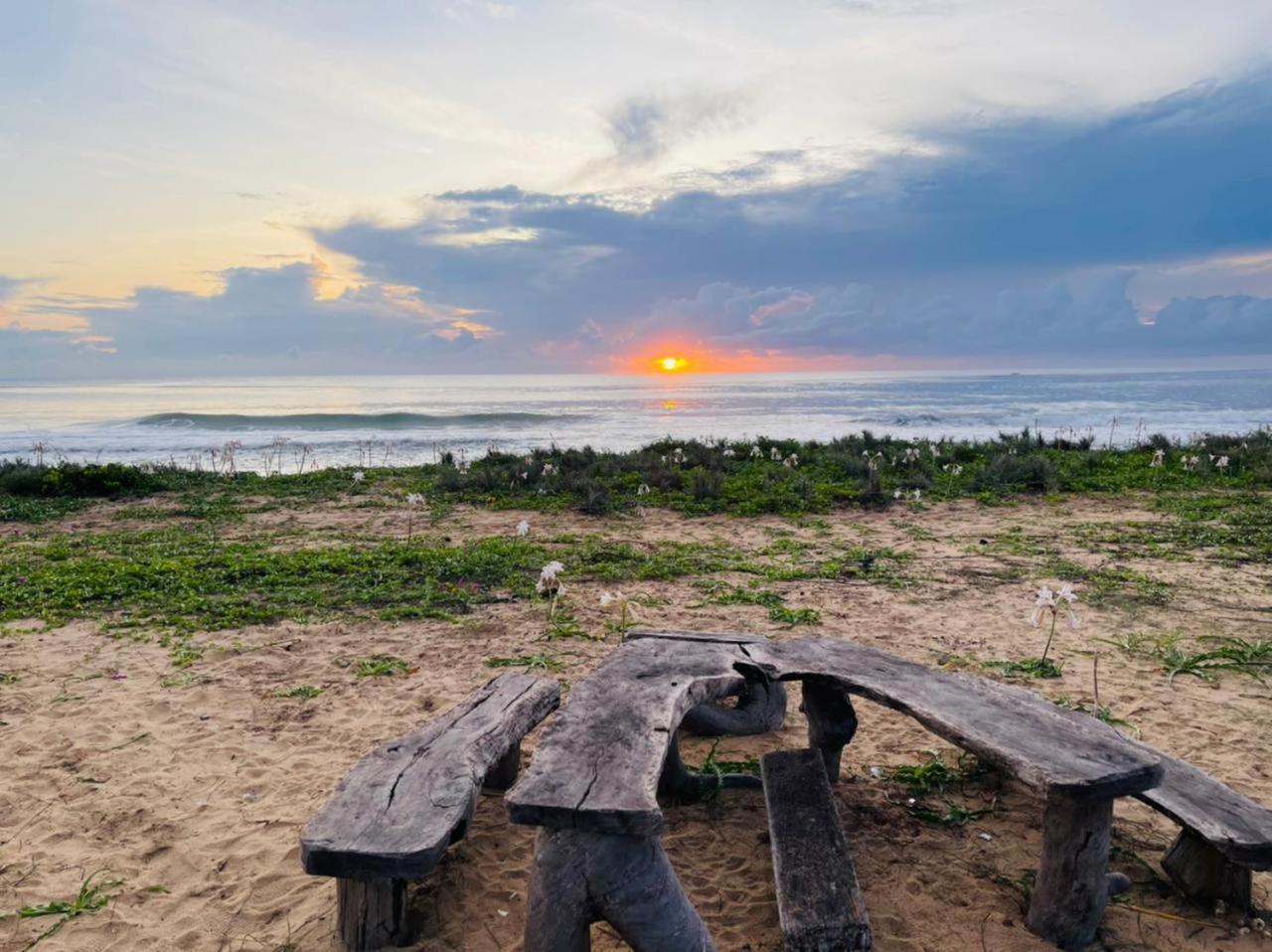 Jungle Surf Camp Bed and Breakfast Panama Eksteriør billede