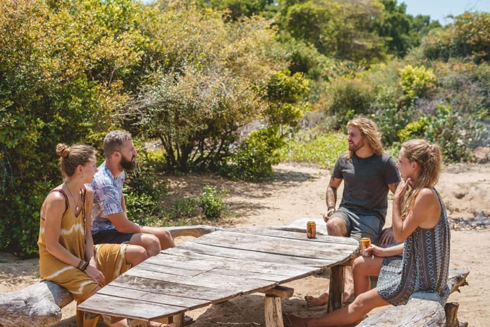 Jungle Surf Camp Bed and Breakfast Panama Eksteriør billede