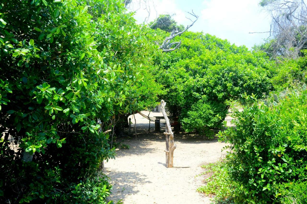 Jungle Surf Camp Bed and Breakfast Panama Eksteriør billede