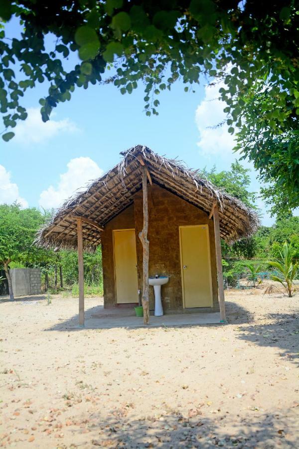 Jungle Surf Camp Bed and Breakfast Panama Eksteriør billede