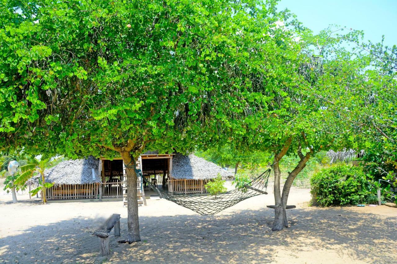 Jungle Surf Camp Bed and Breakfast Panama Eksteriør billede